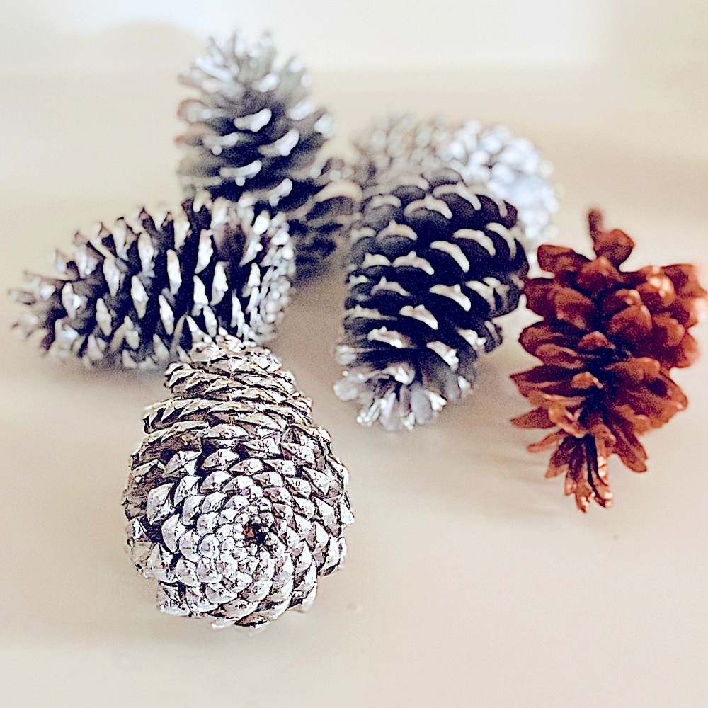 🌲Big Southern Pine Cones 🇺🇸